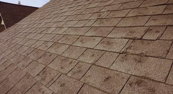 Aledo Roofing showing hail damaged roof